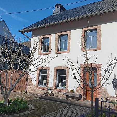 Eifler Brunnenhaus Villa Dumpelfeld Dış mekan fotoğraf