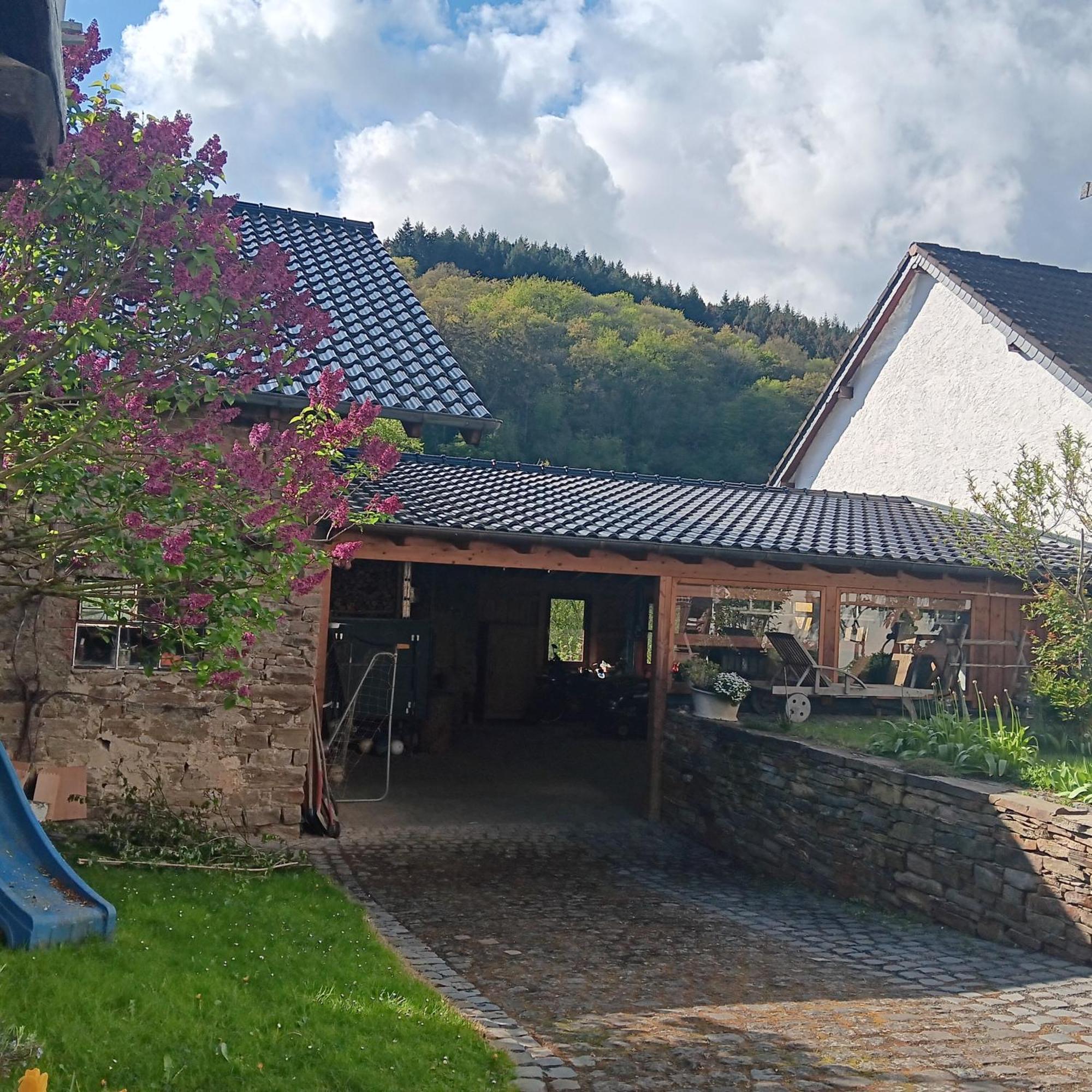 Eifler Brunnenhaus Villa Dumpelfeld Dış mekan fotoğraf