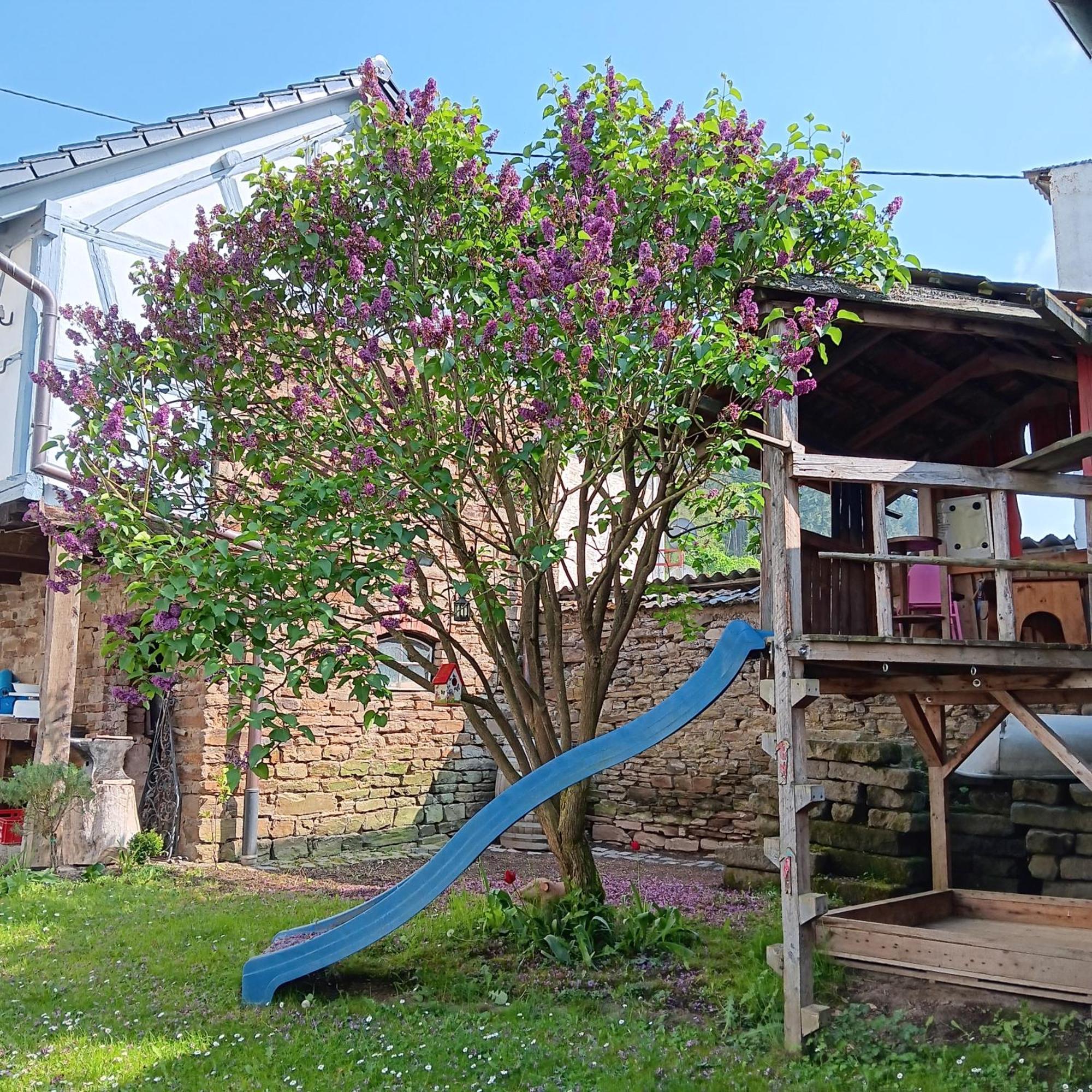 Eifler Brunnenhaus Villa Dumpelfeld Dış mekan fotoğraf